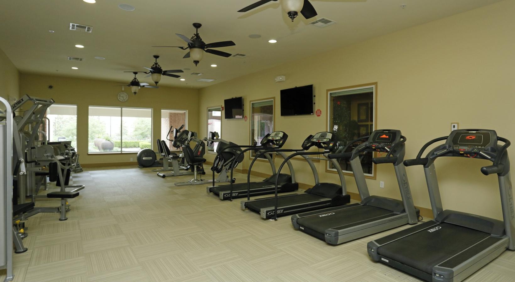 Get your workout on a gym with exercise equipment