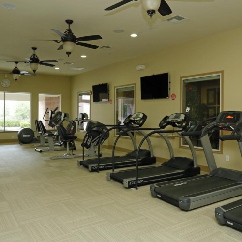 Get your workout on a gym with exercise equipment